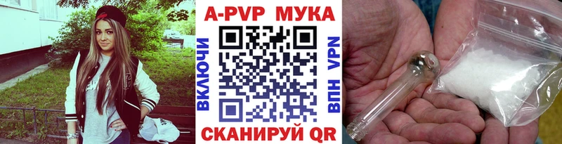 Купить закладки  Суздаль  Alpha-PVP СК КРИС 