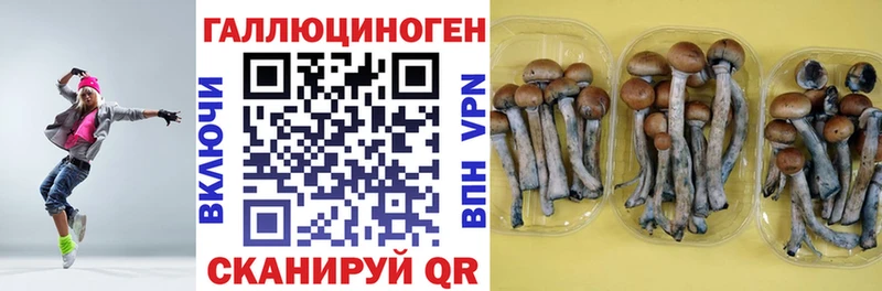 Галлюциногенные грибы GOLDEN TEACHER  Купить закладки  Суздаль 