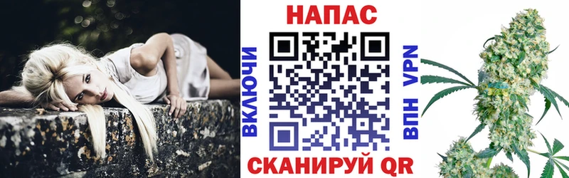 Бошки Шишки конопля  Купить где  Суздаль 